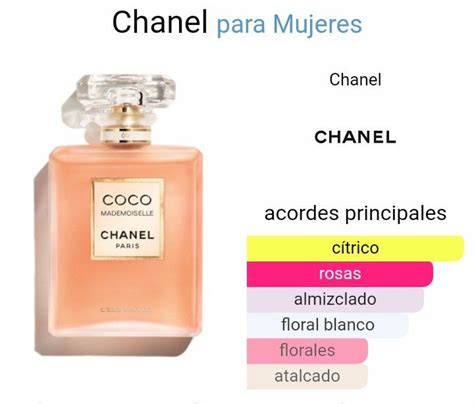 notas olfativas coco chanel